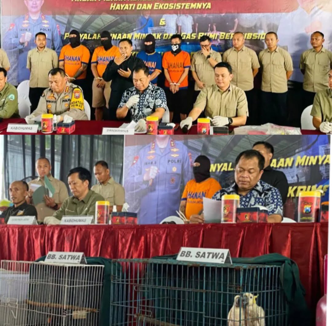 Polda Jawa Timur (Jatim) mengamankan dua tersangka inisial MIH dan MKP dari kasus penyelundupan satwa dilindungi sebanyak 1.357 ekor. Kedua tersangka memperjualbelikan satwa dilindungi lewat online shop atau marketplace.