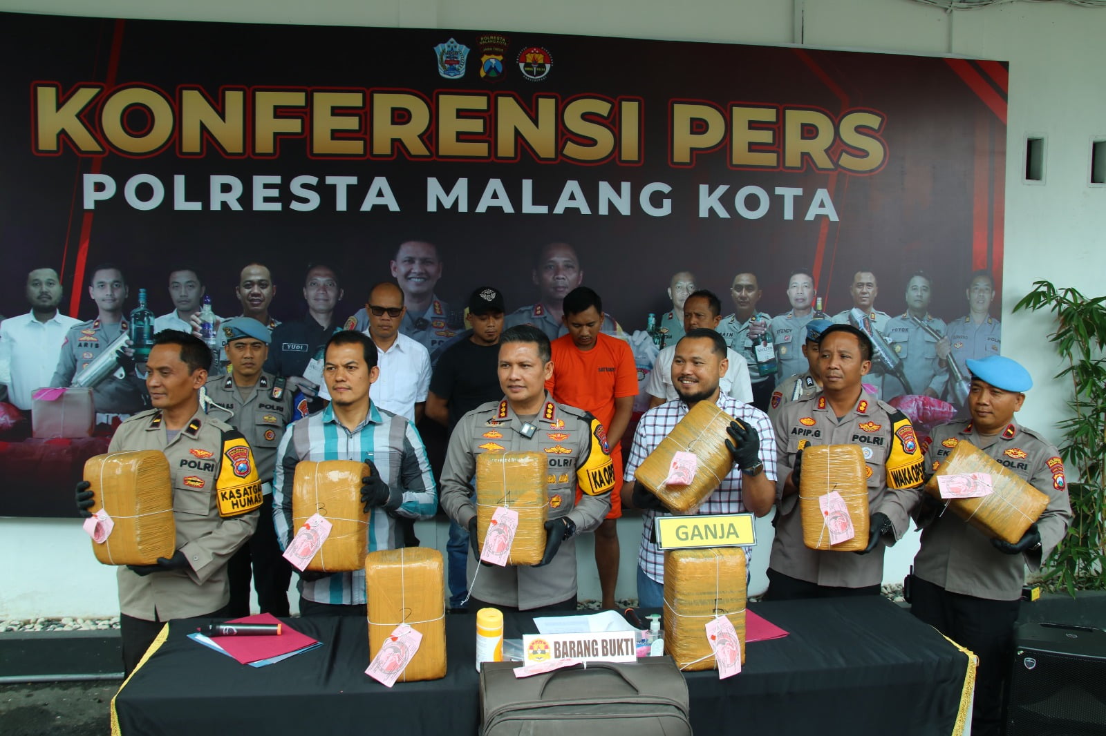 Satuan Reserse Narkoba (Satresnarkoba) Polresta Malang Kota berhasil menggagalkan peredaran ganja seberat 42 kilogram dan menangkap seorang kurir berinisial MS (27) asal Gedangan Kabupaten Sidoarjo.